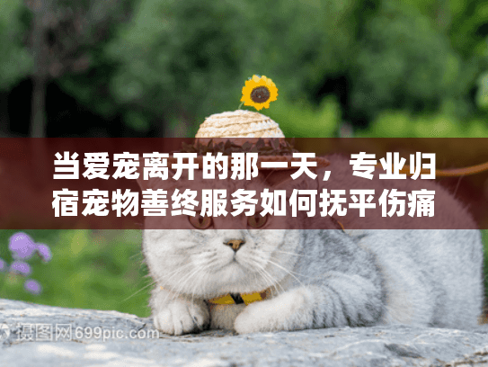 当爱宠离开的那一天，专业归宿宠物善终服务如何抚平伤痛？