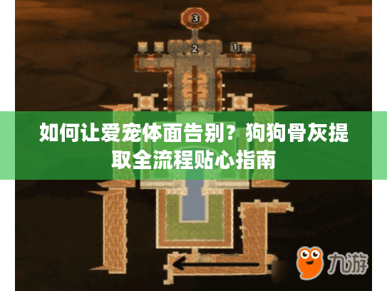 如何让爱宠体面告别？狗狗骨灰提取全流程贴心指南