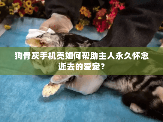狗骨灰手机壳如何帮助主人永久怀念逝去的爱宠？