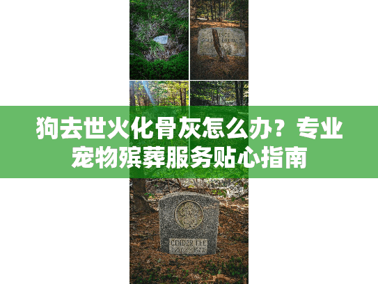 狗去世火化骨灰怎么办？专业宠物殡葬服务贴心指南