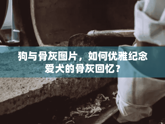 狗与骨灰图片，如何优雅纪念爱犬的骨灰回忆？