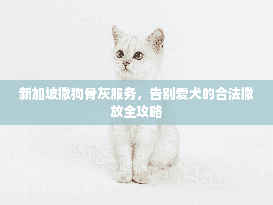 新加坡撒狗骨灰服务，告别爱犬的合法撒放全攻略