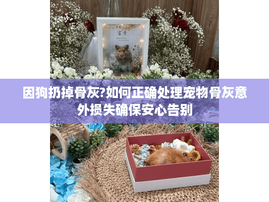 因狗扔掉骨灰?如何正确处理宠物骨灰意外损失确保安心告别