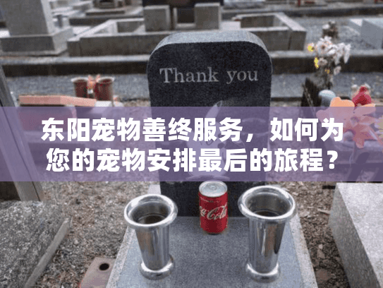 东阳宠物善终服务，如何为您的宠物安排最后的旅程？