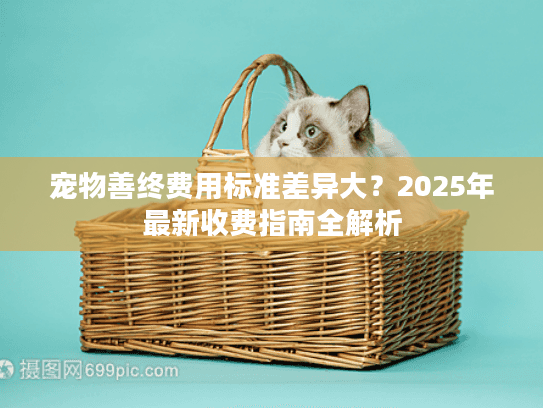 宠物善终费用标准差异大？2025年最新收费指南全解析