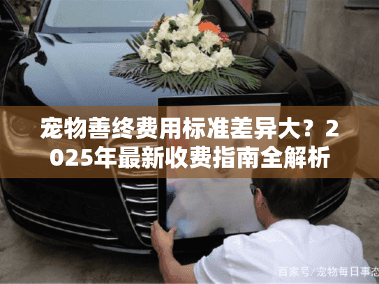 宠物善终费用标准差异大？2025年最新收费指南全解析