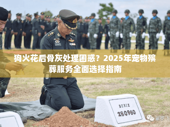 狗火花后骨灰处理困惑？2025年宠物殡葬服务全面选择指南