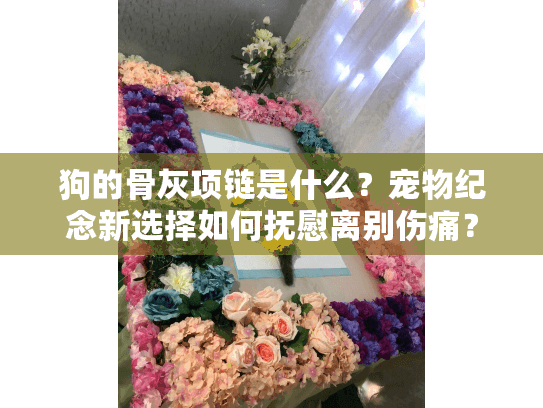 狗的骨灰项链是什么？宠物纪念新选择如何抚慰离别伤痛？