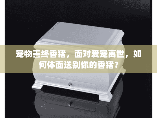 宠物善终香猪，面对爱宠离世，如何体面送别你的香猪？