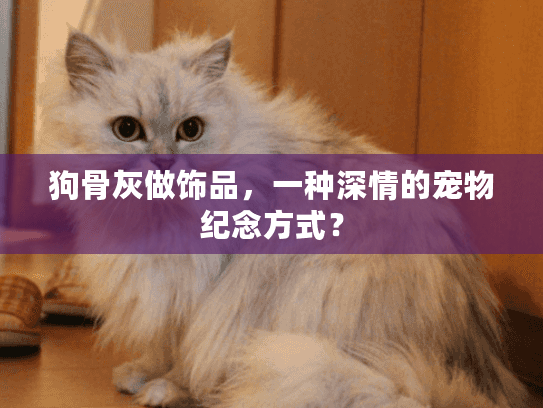 狗骨灰做饰品，一种深情的宠物纪念方式？