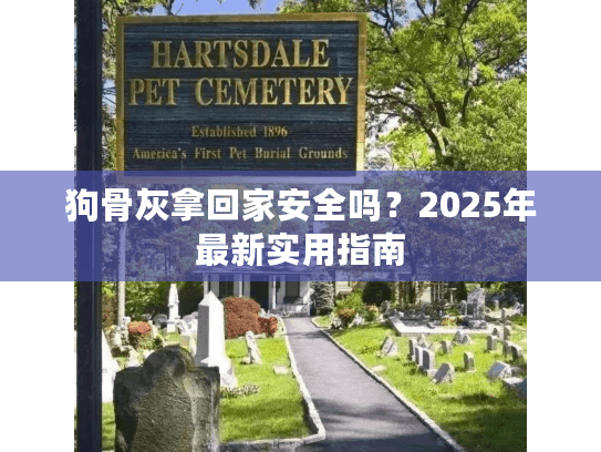 狗骨灰拿回家安全吗？2025年最新实用指南