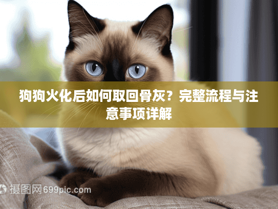 狗狗火化后如何取回骨灰？完整流程与注意事项详解