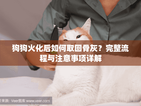 狗狗火化后如何取回骨灰？完整流程与注意事项详解