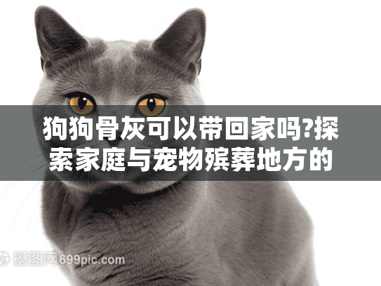 狗狗骨灰可以带回家吗?探索家庭与宠物殡葬地方的纪念选择