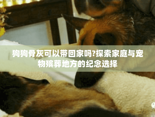狗狗骨灰可以带回家吗?探索家庭与宠物殡葬地方的纪念选择