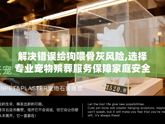 解决错误给狗喂骨灰风险,选择专业宠物殡葬服务保障家庭安全