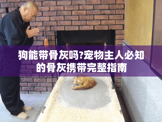 狗能带骨灰吗?宠物主人必知的骨灰携带完整指南