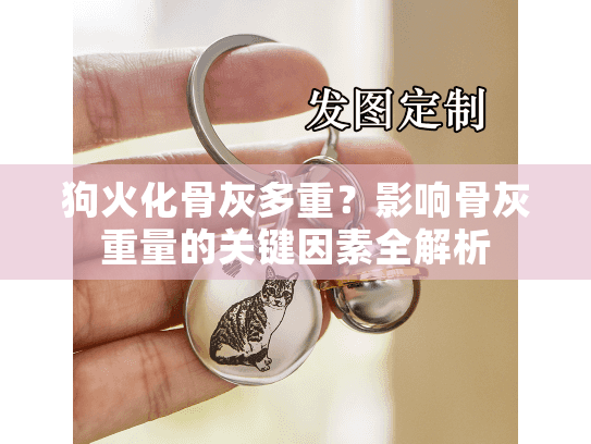 狗火化骨灰多重？影响骨灰重量的关键因素全解析