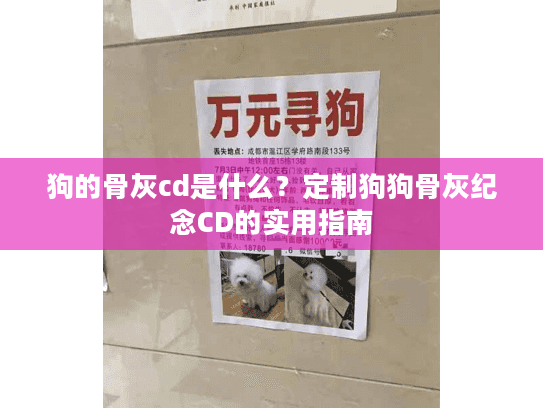 狗的骨灰cd是什么？定制狗狗骨灰纪念CD的实用指南