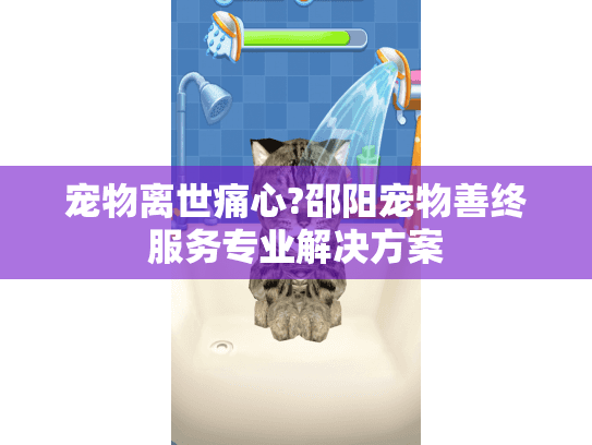 宠物离世痛心?邵阳宠物善终服务专业解决方案