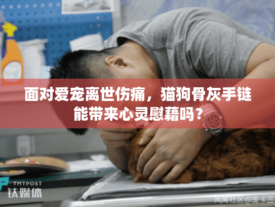 面对爱宠离世伤痛，猫狗骨灰手链能带来心灵慰藉吗？