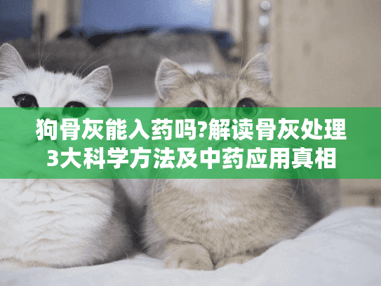 狗骨灰能入药吗?解读骨灰处理3大科学方法及中药应用真相