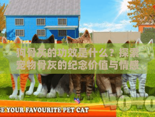 狗骨灰的功效是什么？探索宠物骨灰的纪念价值与情感慰藉