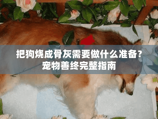 把狗烧成骨灰需要做什么准备？宠物善终完整指南