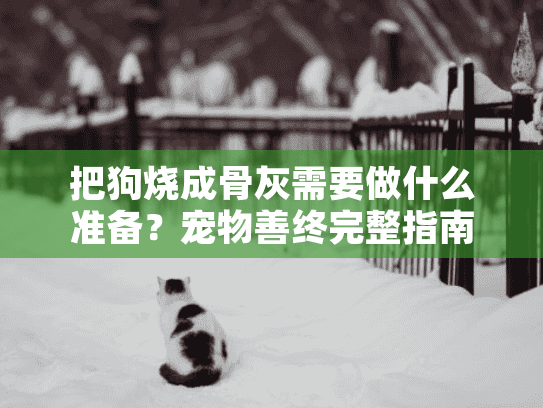 把狗烧成骨灰需要做什么准备？宠物善终完整指南