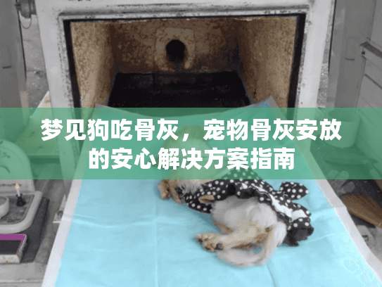 梦见狗吃骨灰，宠物骨灰安放的安心解决方案指南