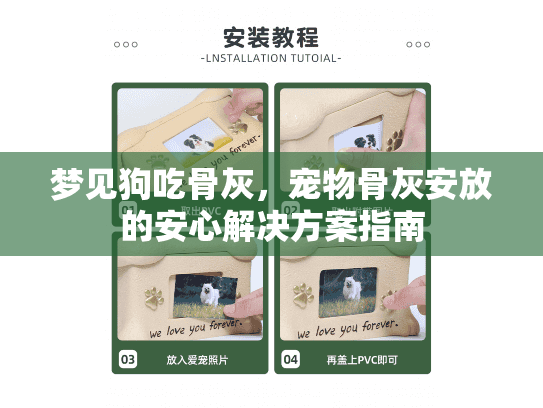 梦见狗吃骨灰，宠物骨灰安放的安心解决方案指南