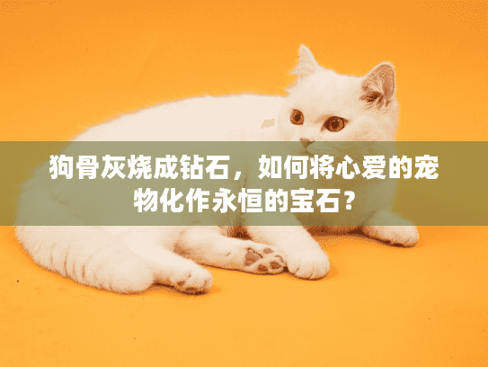 狗骨灰烧成钻石，如何将心爱的宠物化作永恒的宝石？