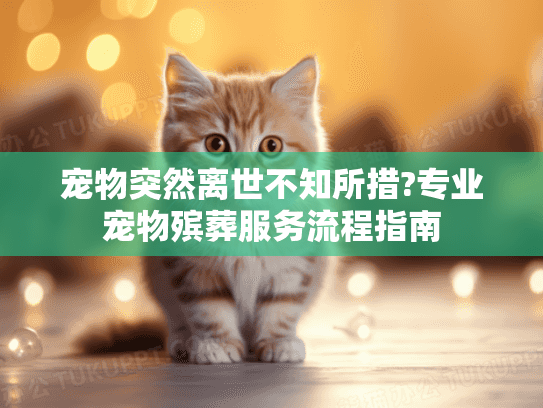 宠物突然离世不知所措?专业宠物殡葬服务流程指南 宠物突然离世不知所措?专业宠物殡葬服务流程指南