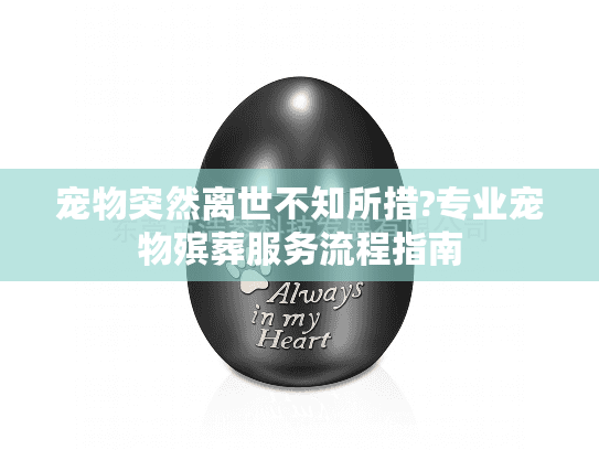 宠物突然离世不知所措?专业宠物殡葬服务流程指南