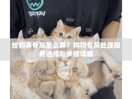 给狗弄骨灰怎么弄？狗狗骨灰处理服务选择与步骤详解