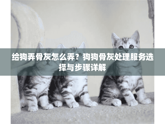 给狗弄骨灰怎么弄？狗狗骨灰处理服务选择与步骤详解