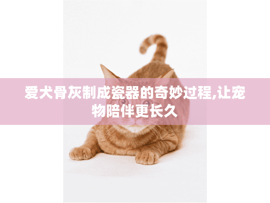 爱犬骨灰制成瓷器的奇妙过程,让宠物陪伴更长久