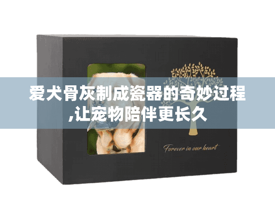 爱犬骨灰制成瓷器的奇妙过程,让宠物陪伴更长久