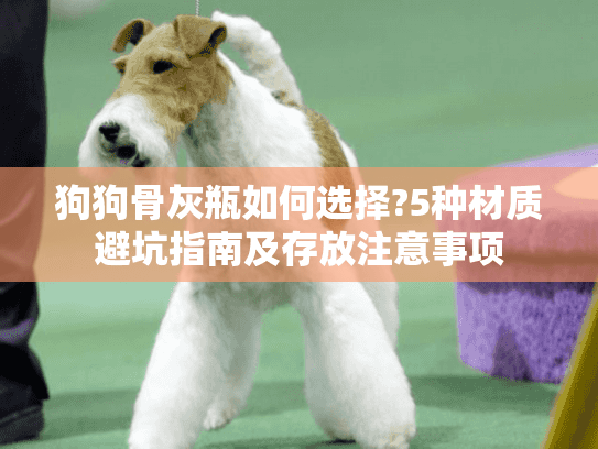 狗狗骨灰瓶如何选择?5种材质避坑指南及存放注意事项