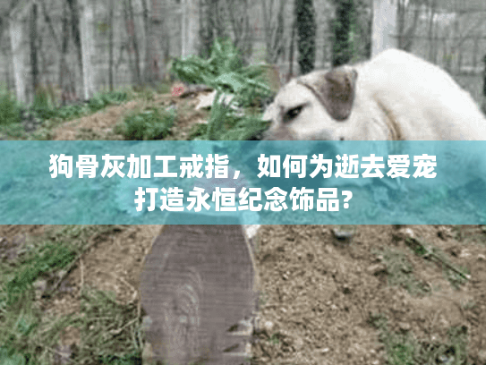 狗骨灰加工戒指，如何为逝去爱宠打造永恒纪念饰品?
