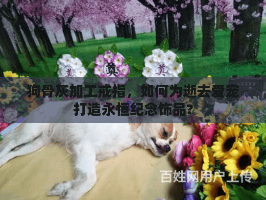 狗骨灰加工戒指，如何为逝去爱宠打造永恒纪念饰品?