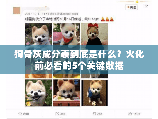 狗骨灰成分表到底是什么？火化前必看的5个关键数据