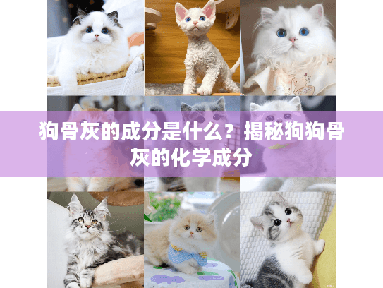 狗骨灰的成分是什么？揭秘狗狗骨灰的化学成分