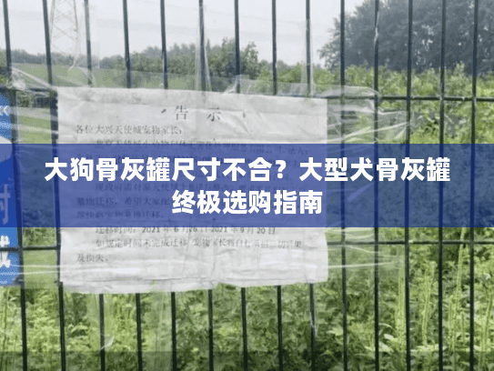 大狗骨灰罐尺寸不合？大型犬骨灰罐终极选购指南