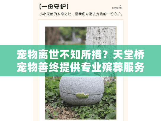 宠物离世不知所措？天堂桥宠物善终提供专业殡葬服务