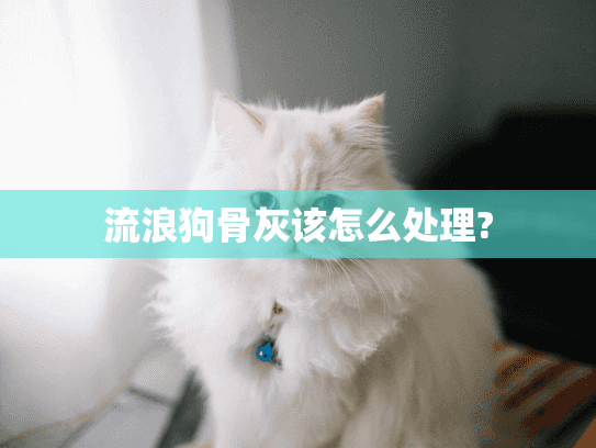 流浪狗骨灰该怎么处理?
