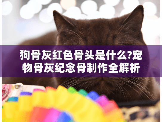 狗骨灰红色骨头是什么?宠物骨灰纪念骨制作全解析