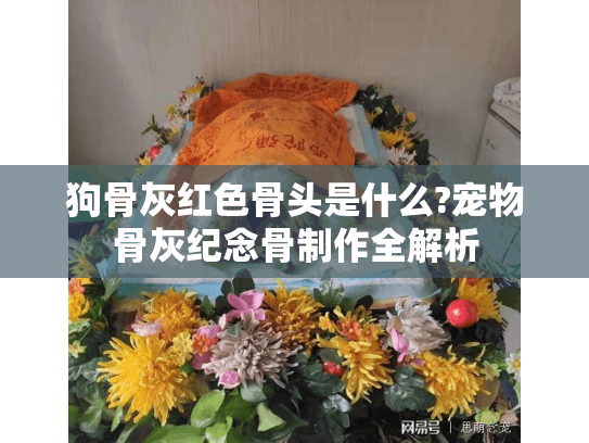 狗骨灰红色骨头是什么?宠物骨灰纪念骨制作全解析