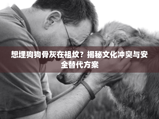 想埋狗狗骨灰在祖坟？揭秘文化冲突与安全替代方案