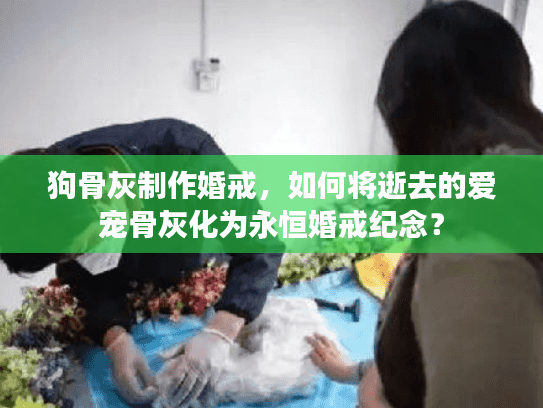 狗骨灰制作婚戒，如何将逝去的爱宠骨灰化为永恒婚戒纪念？